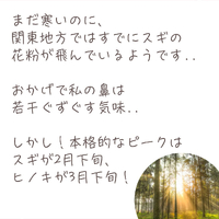 画像412