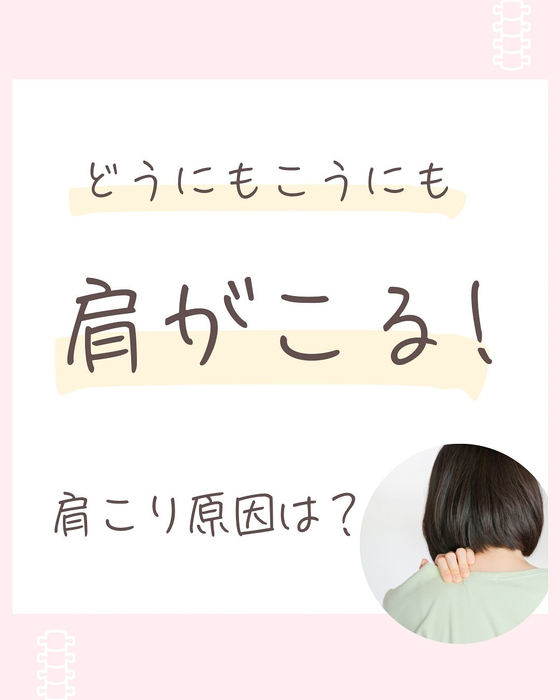 画像443