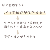画像460
