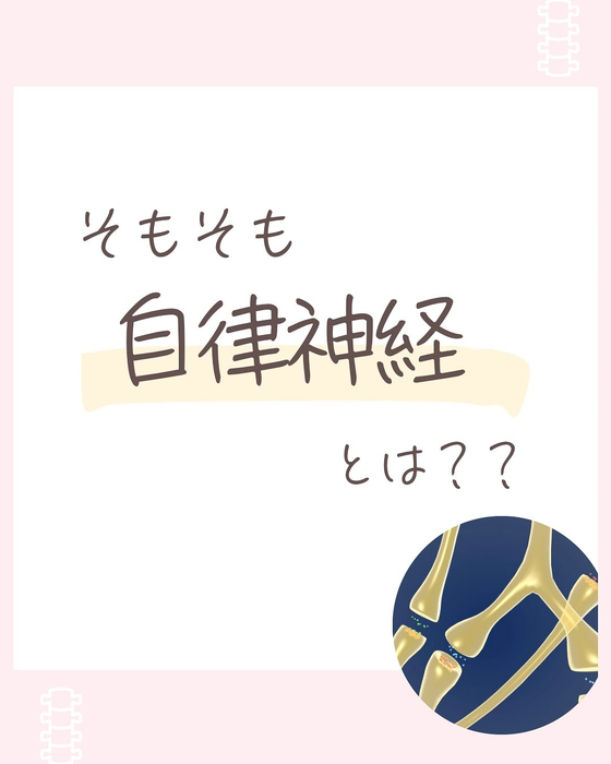 画像501
