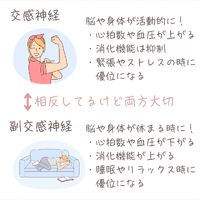 画像504