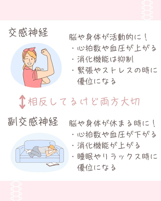 画像504