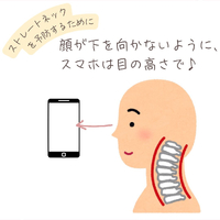 画像536