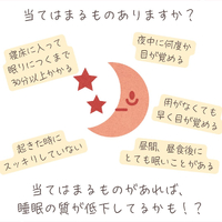 画像548