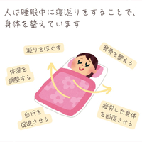 画像557