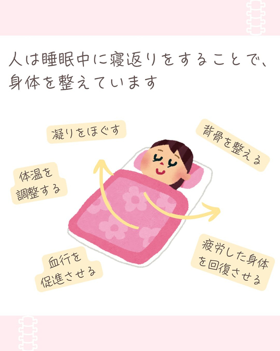 画像557