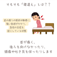 画像629
