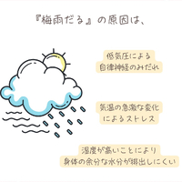 画像774