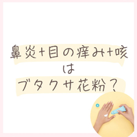 画像829